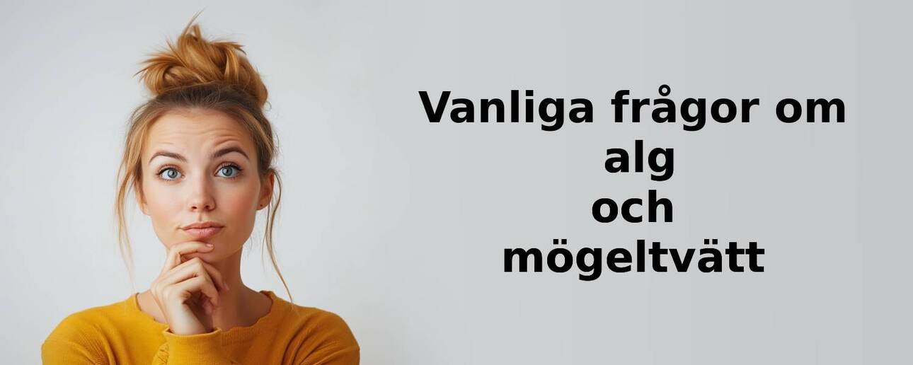 Vanliga frågor om alg och mögeltvätt