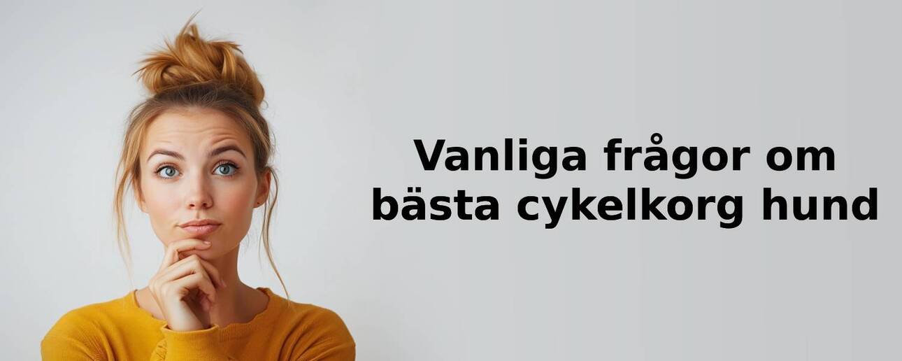 Vanliga frågor om cykelkorg hund