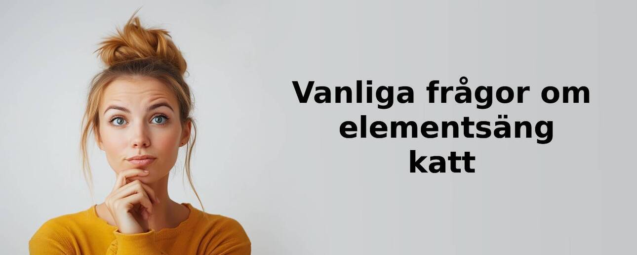 Vanliga frågor om elementsäng katt