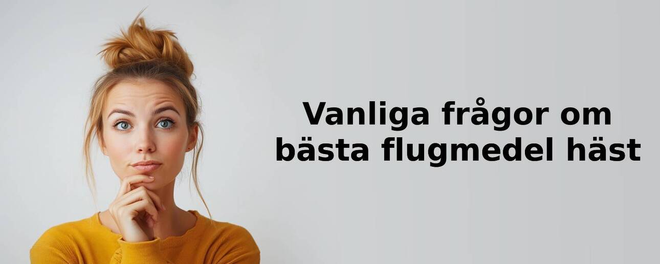 Vanliga frågor om flugmedel häst