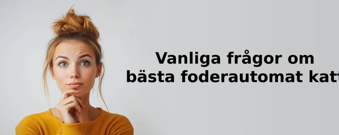 Vanliga frågor om foderautomat katt