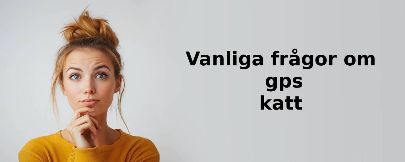 Vanliga frågor om gps katt