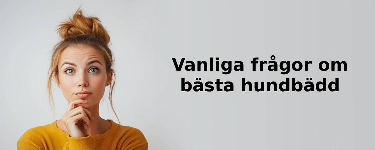 Vanliga frågor om hundbädd
