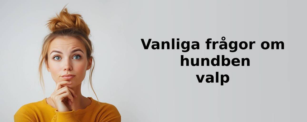 Vanliga frågor om hundben valp