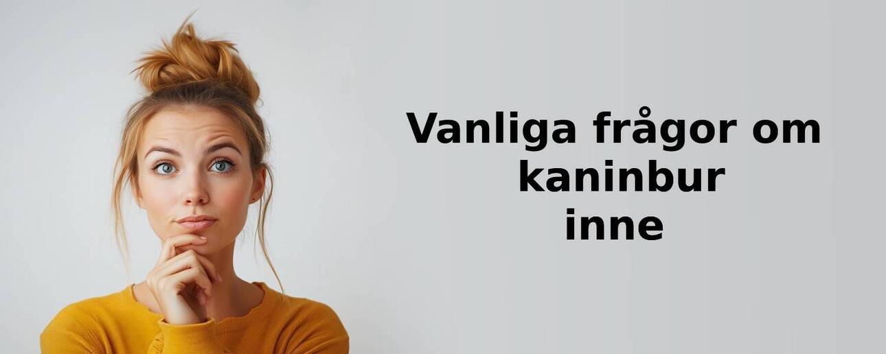 Vanliga frågor om kaninbur inne