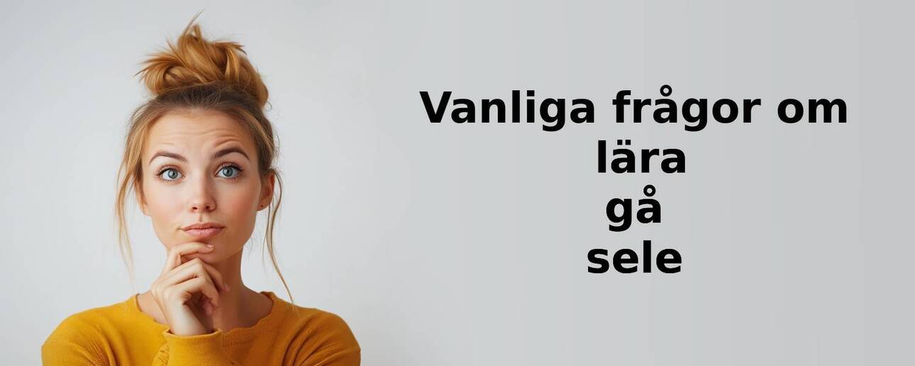 Vanliga frågor om lära gå sele