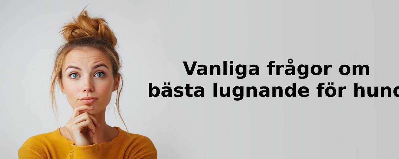 Vanliga frågor om lugnande för hund