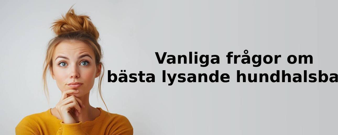 Vanliga frågor om lysande hundhalsband