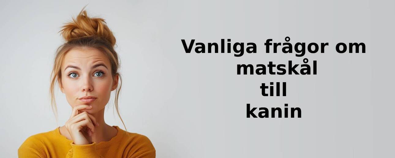 Vanliga frågor om matskål till kanin
