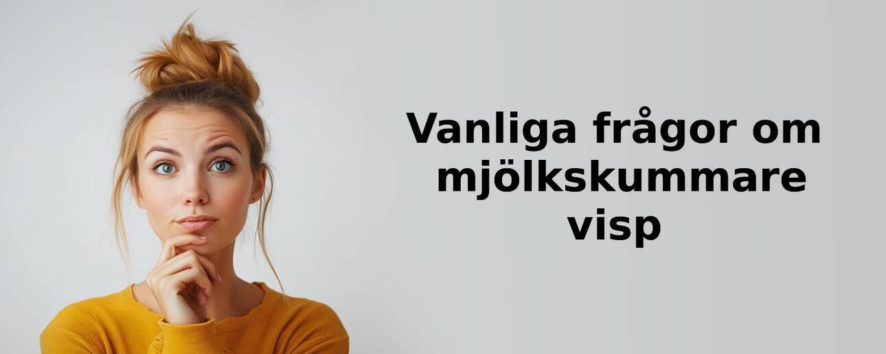 Vanliga frågor om mjölkskummare visp