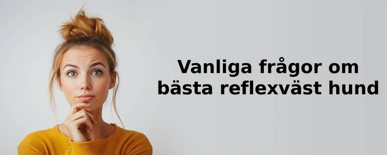 Vanliga frågor om reflexväst hund