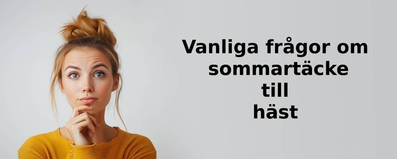 Vanliga frågor om sommartäcke till häst