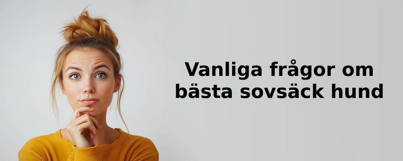 Vanliga frågor om sovsäck hund