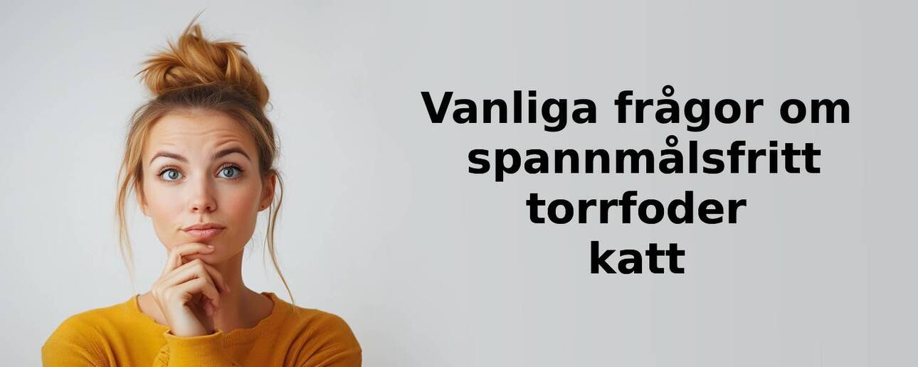 Vanliga frågor om spannmålsfritt torrfoder katt