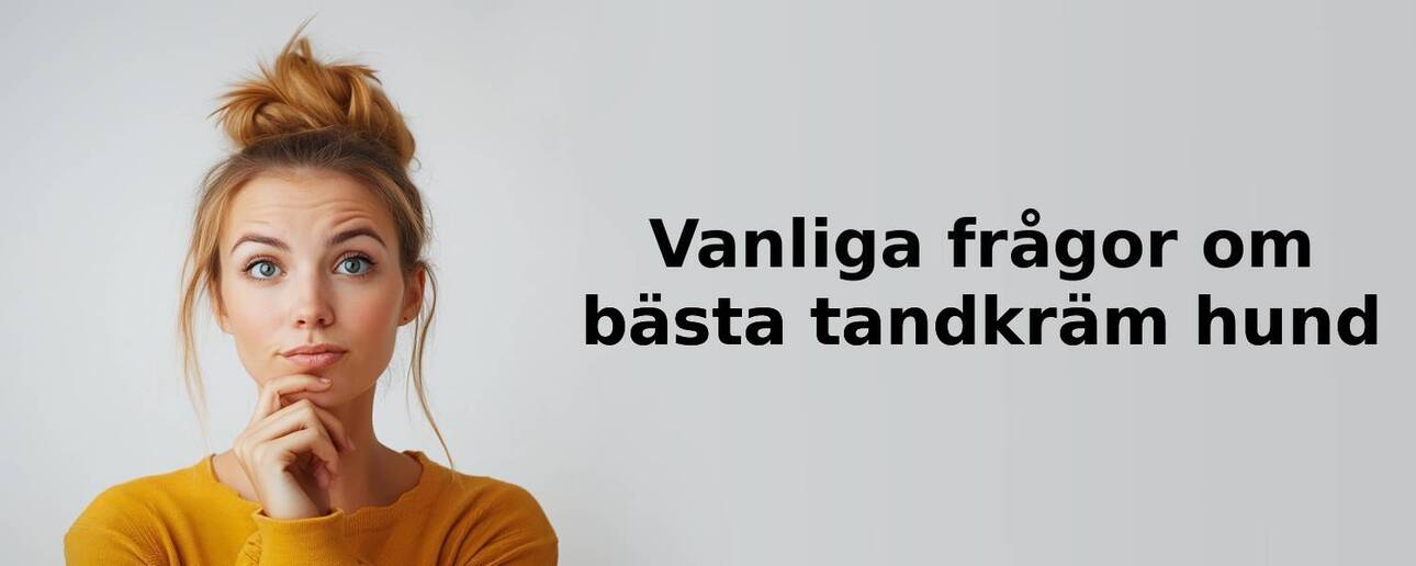Vanliga frågor om tandkräm hund