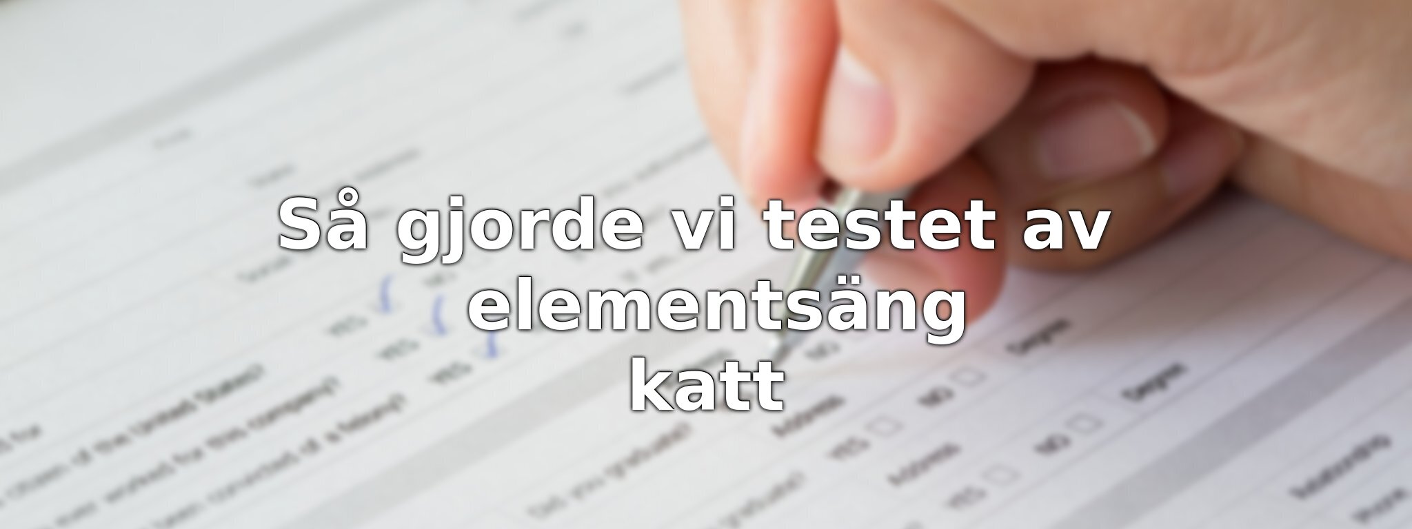 Om vårt test av elementsäng katt