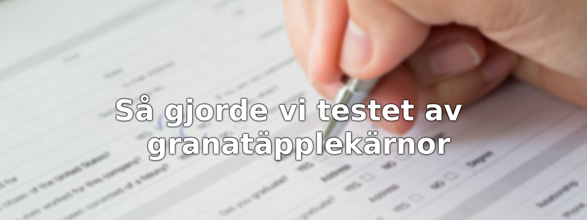 Om vårt test av granatäpplekärnor