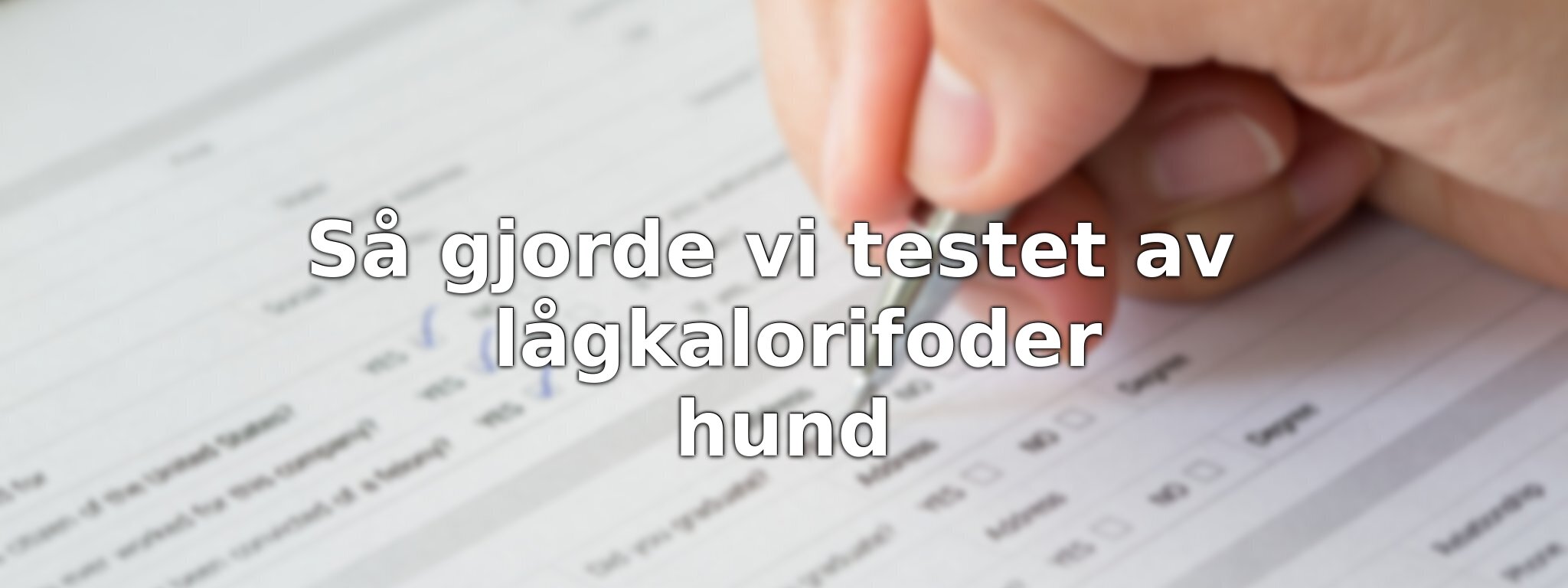 Om vårt test av lågkalorifoder hund