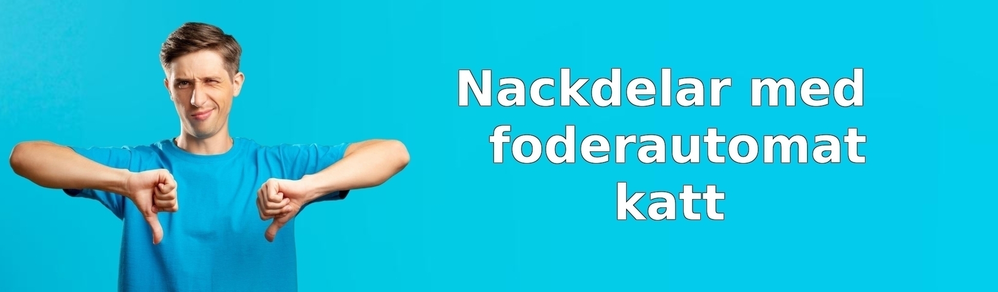 Nackdelar med foderautomat katt