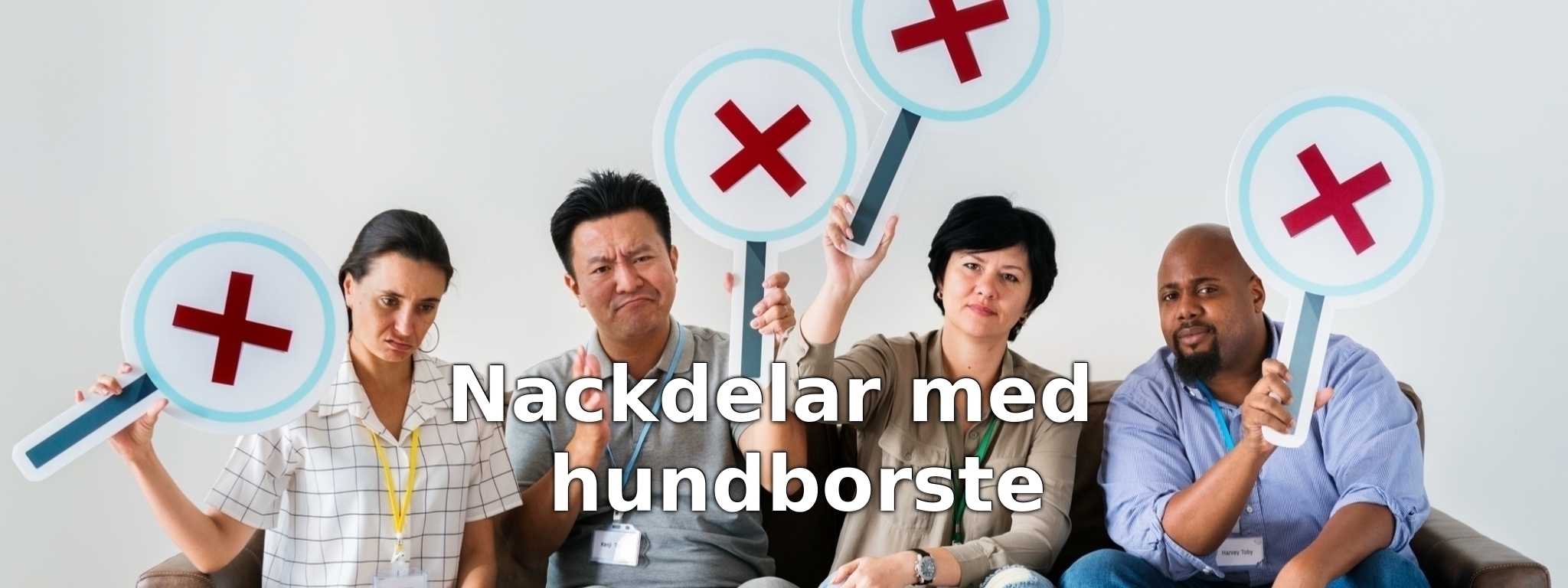Nackdelar med hundborste