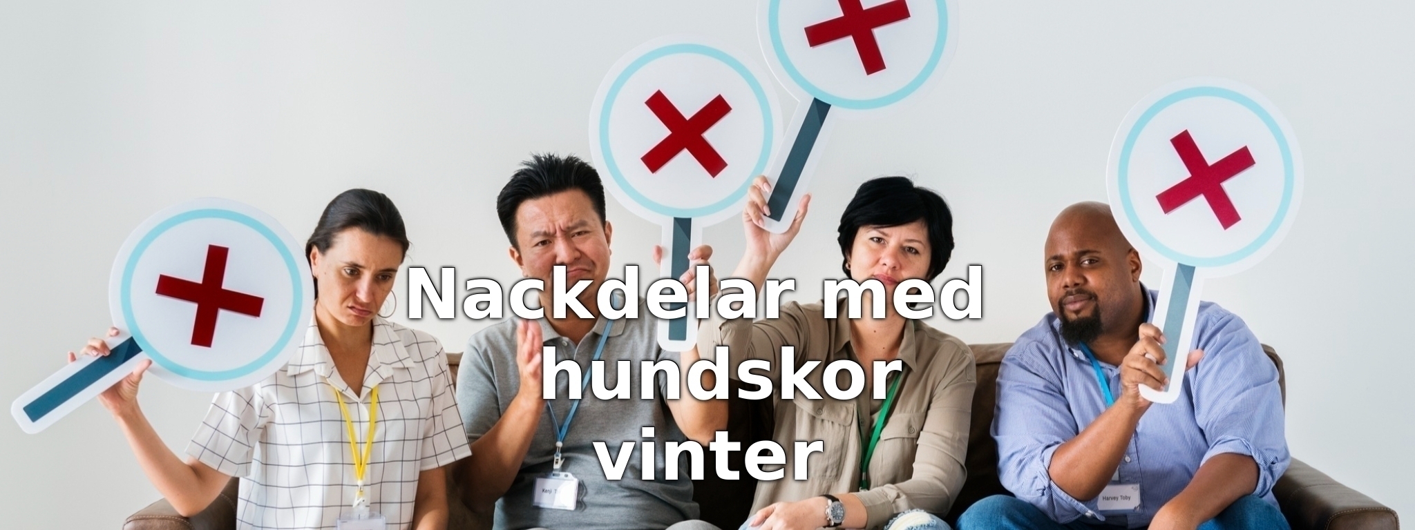 Nackdelar med hundskor vinter
