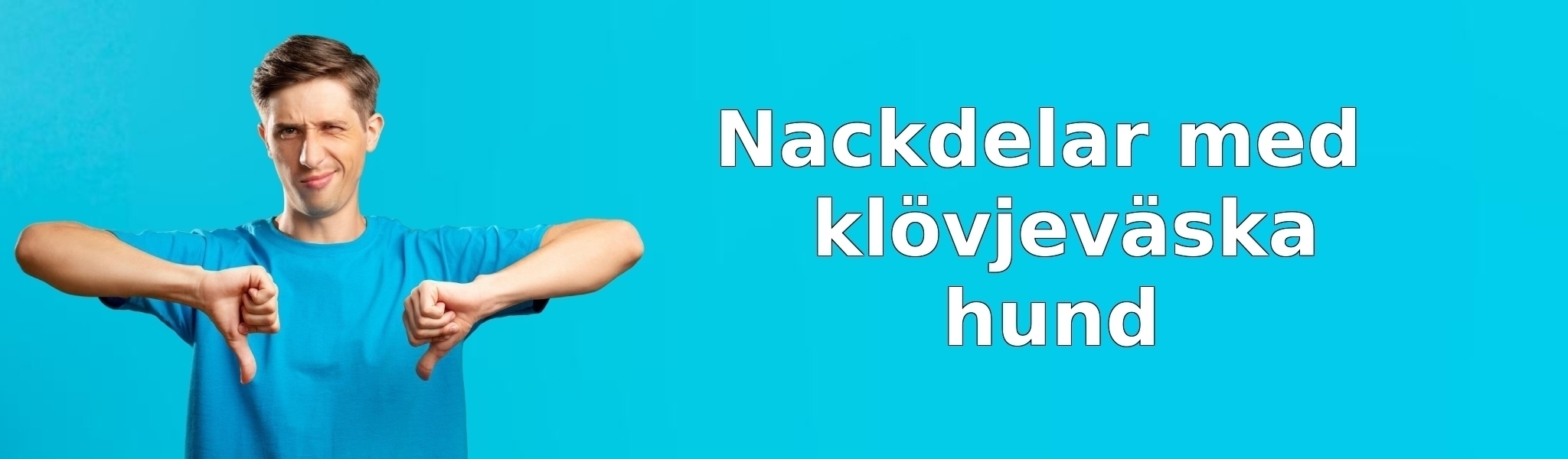 Nackdelar med klövjeväska hund