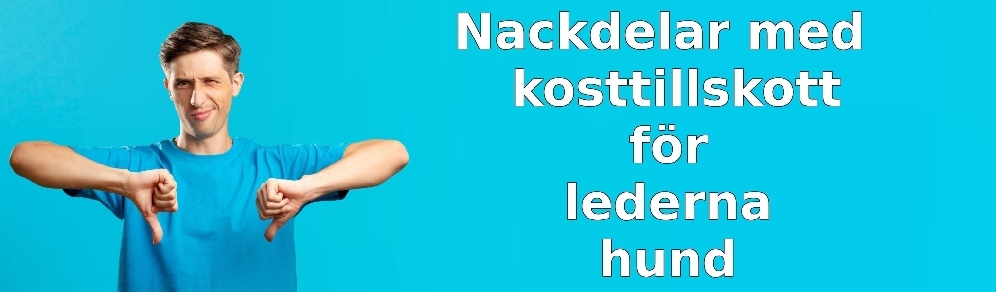 Nackdelar med kosttillskott för lederna hund