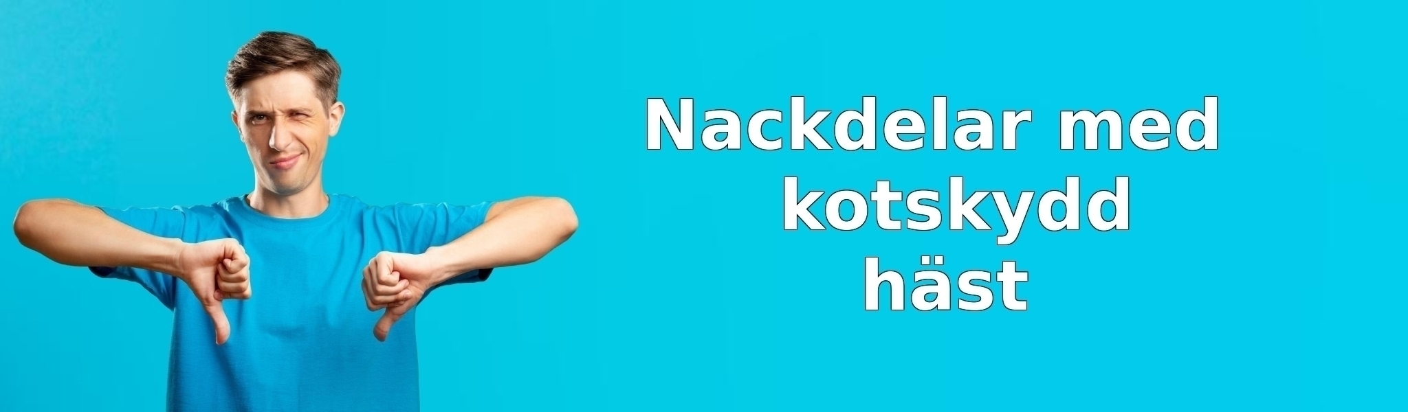 Nackdelar med kotskydd häst