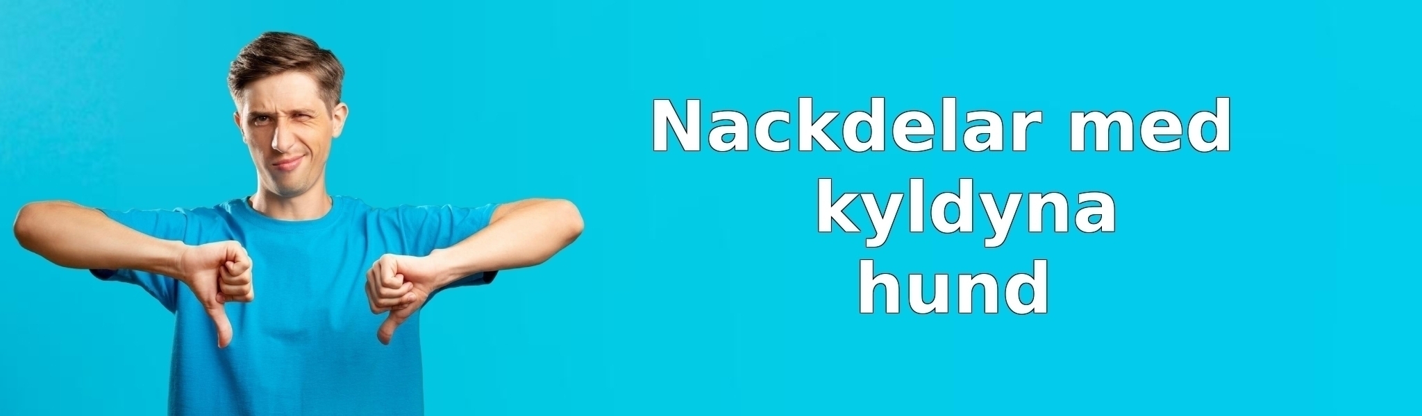 Nackdelar med kyldyna hund