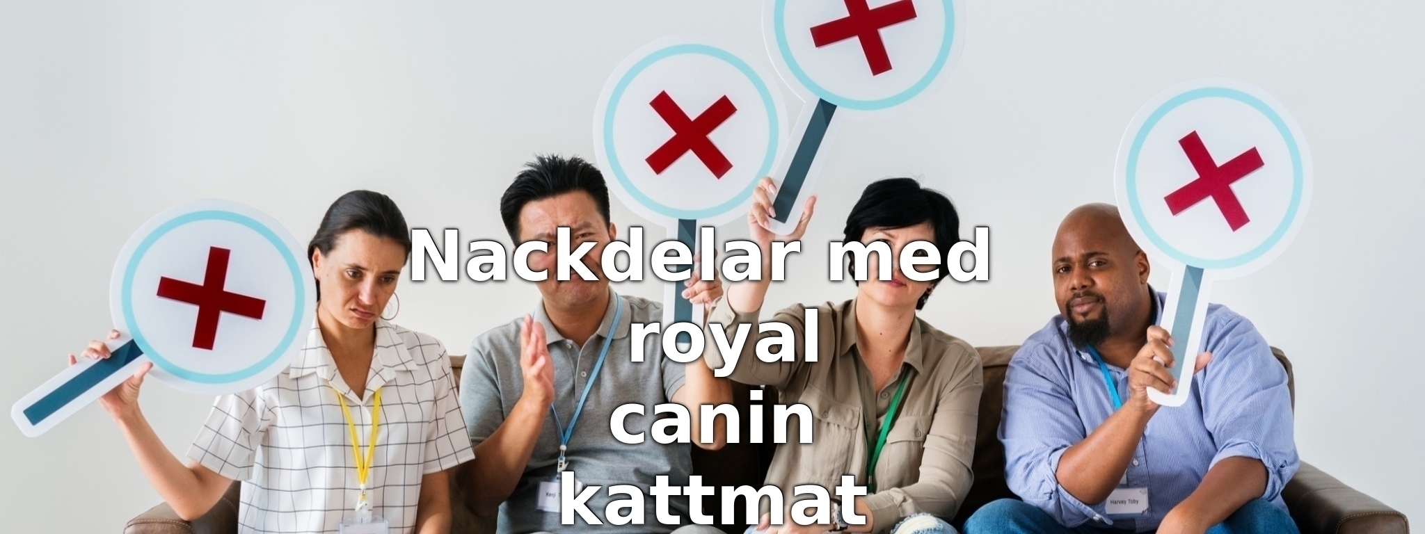 Nackdelar med royal canin kattmat