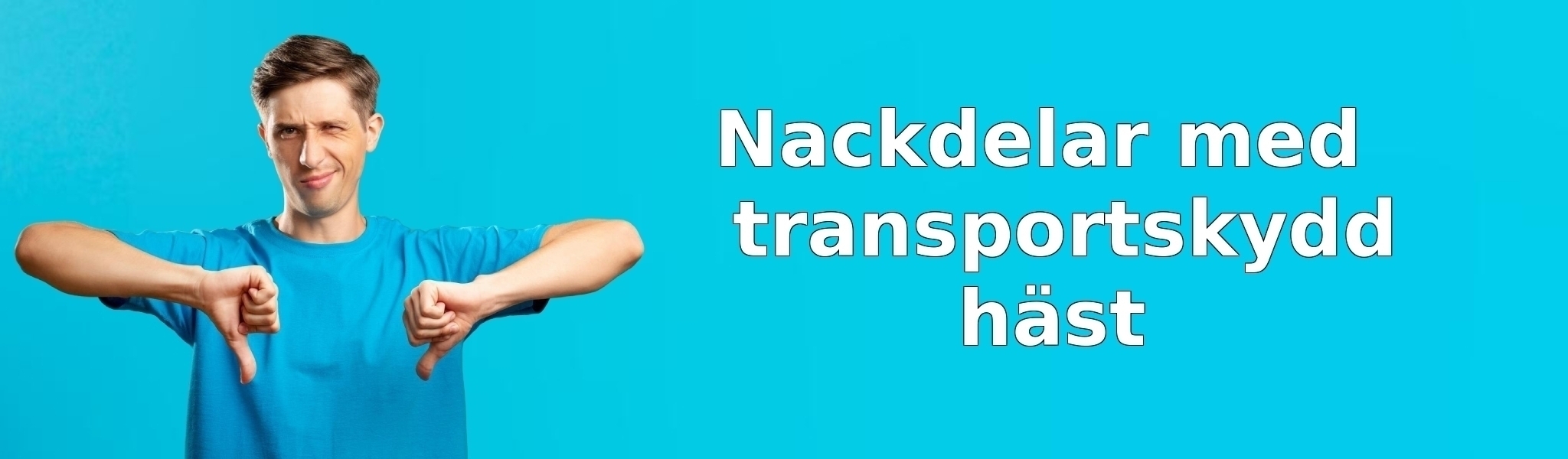 Nackdelar med transportskydd häst