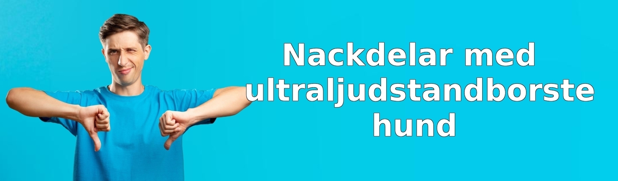 Nackdelar med ultraljudstandborste hund