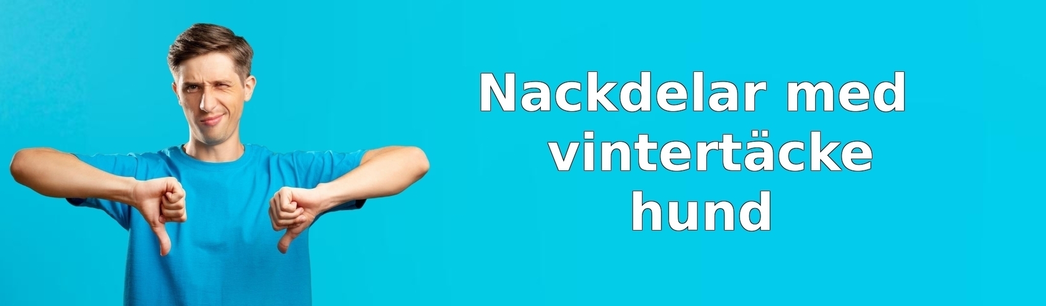 Nackdelar med vintertäcke hund