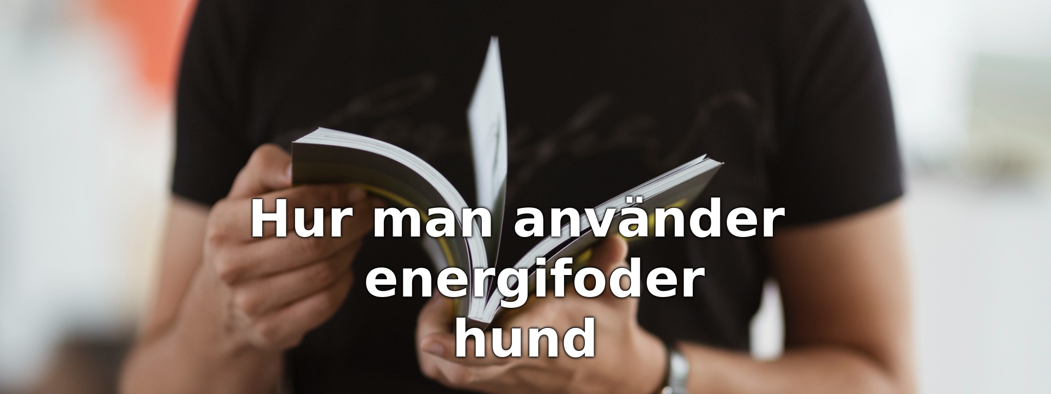 Hur man använder energifoder hund