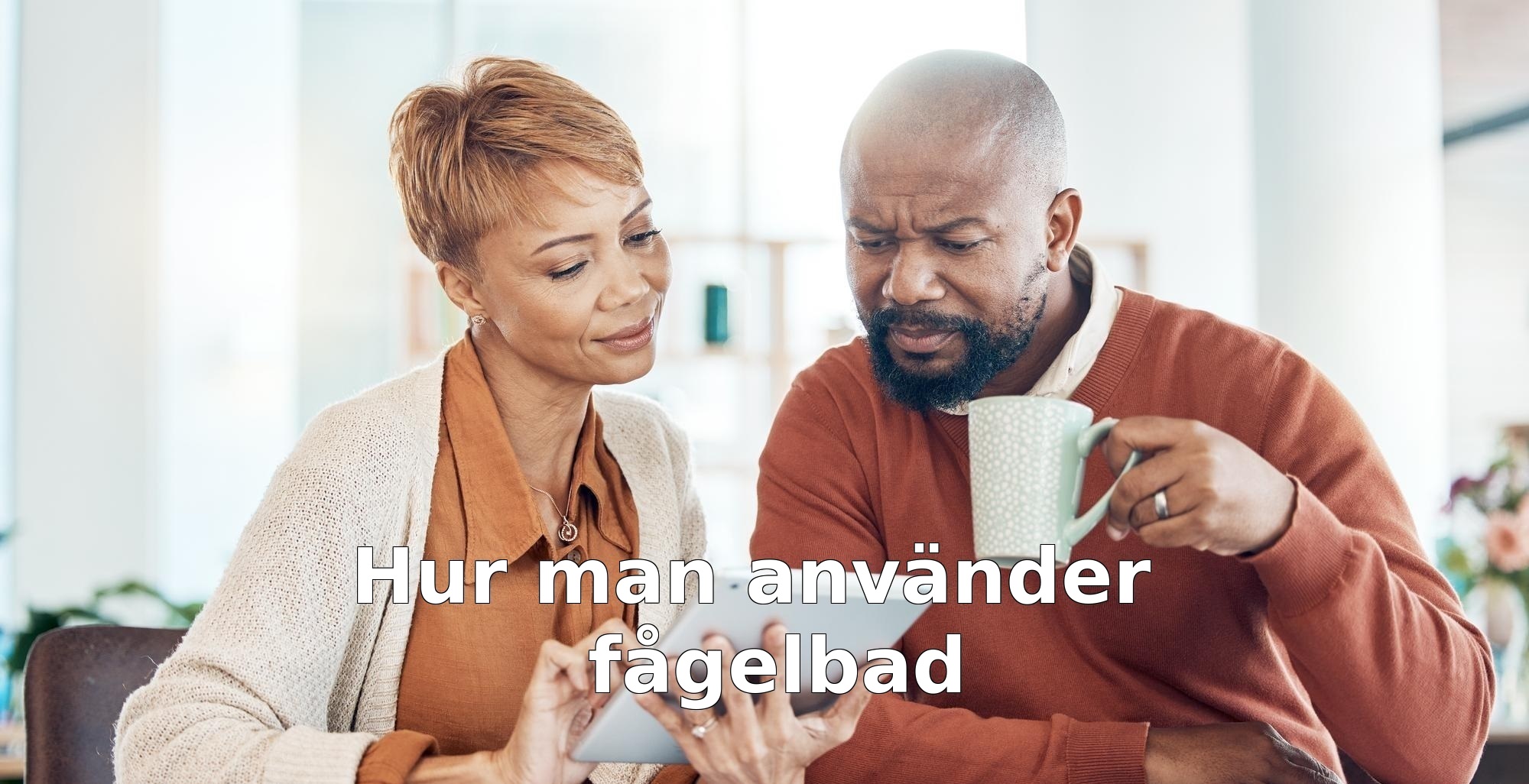 Hur man använder fågelbad