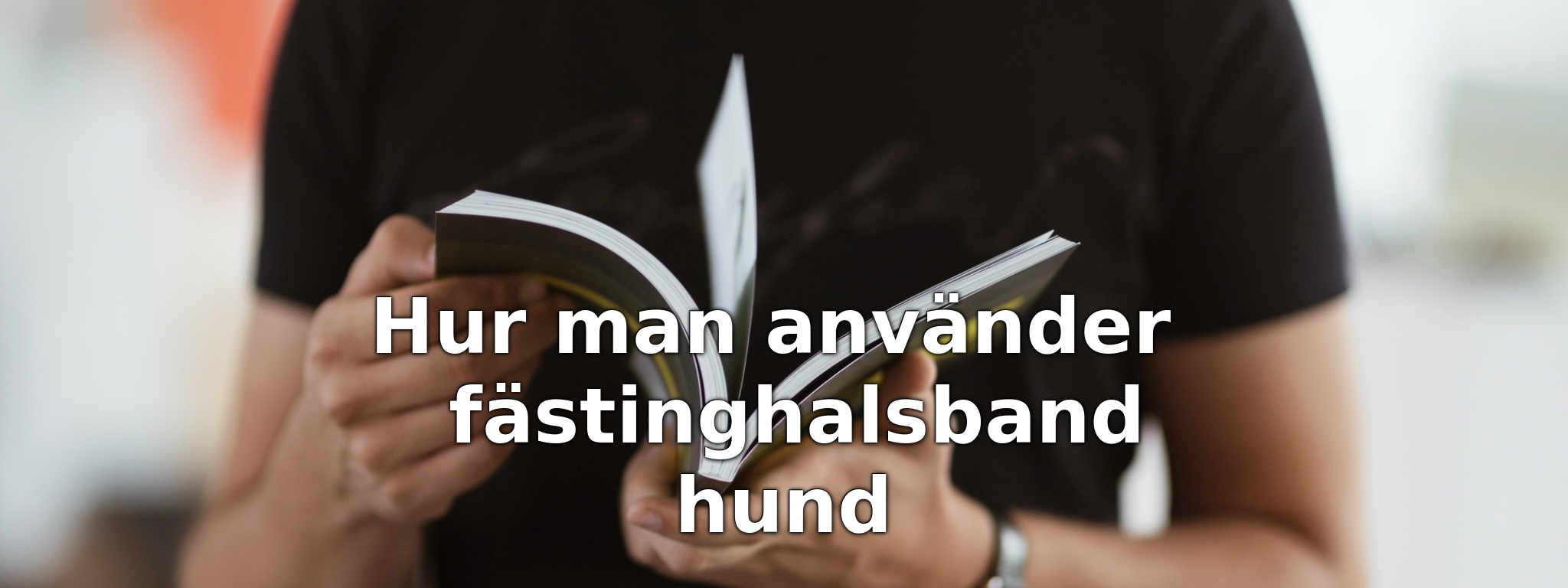 Hur man använder fästinghalsband hund