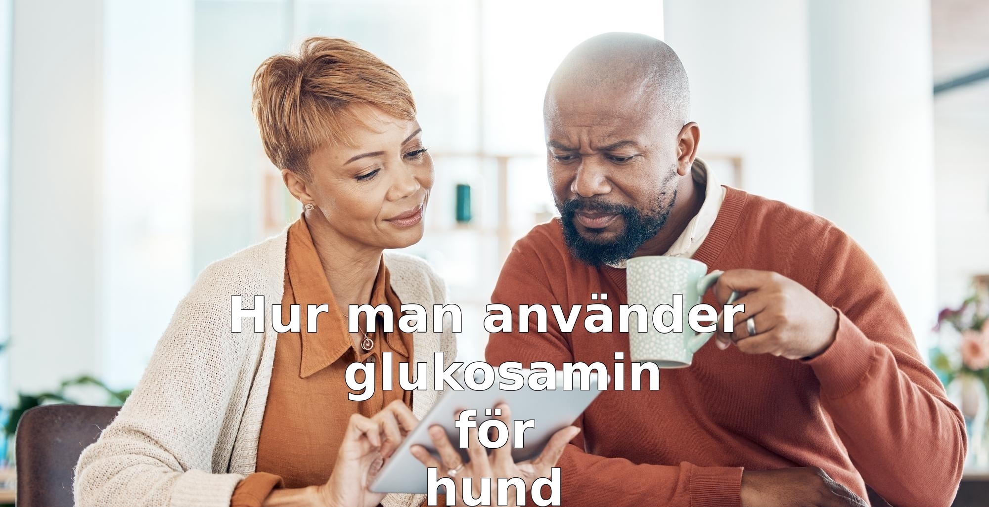 Hur man använder glukosamin för hund