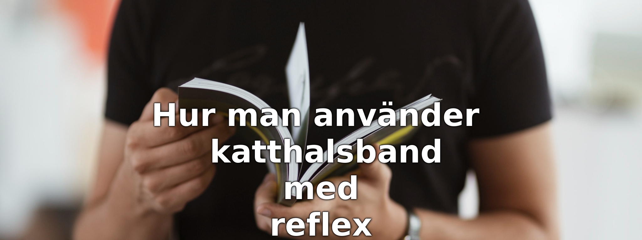 Hur man använder katthalsband med reflex