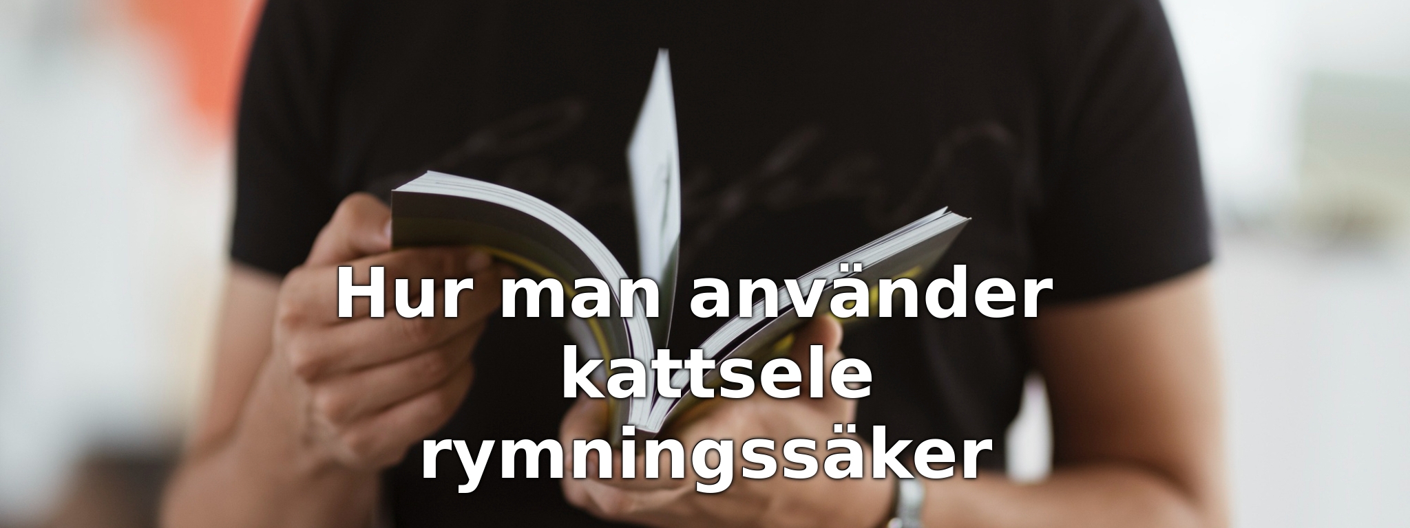 Hur man använder kattsele rymningssäker