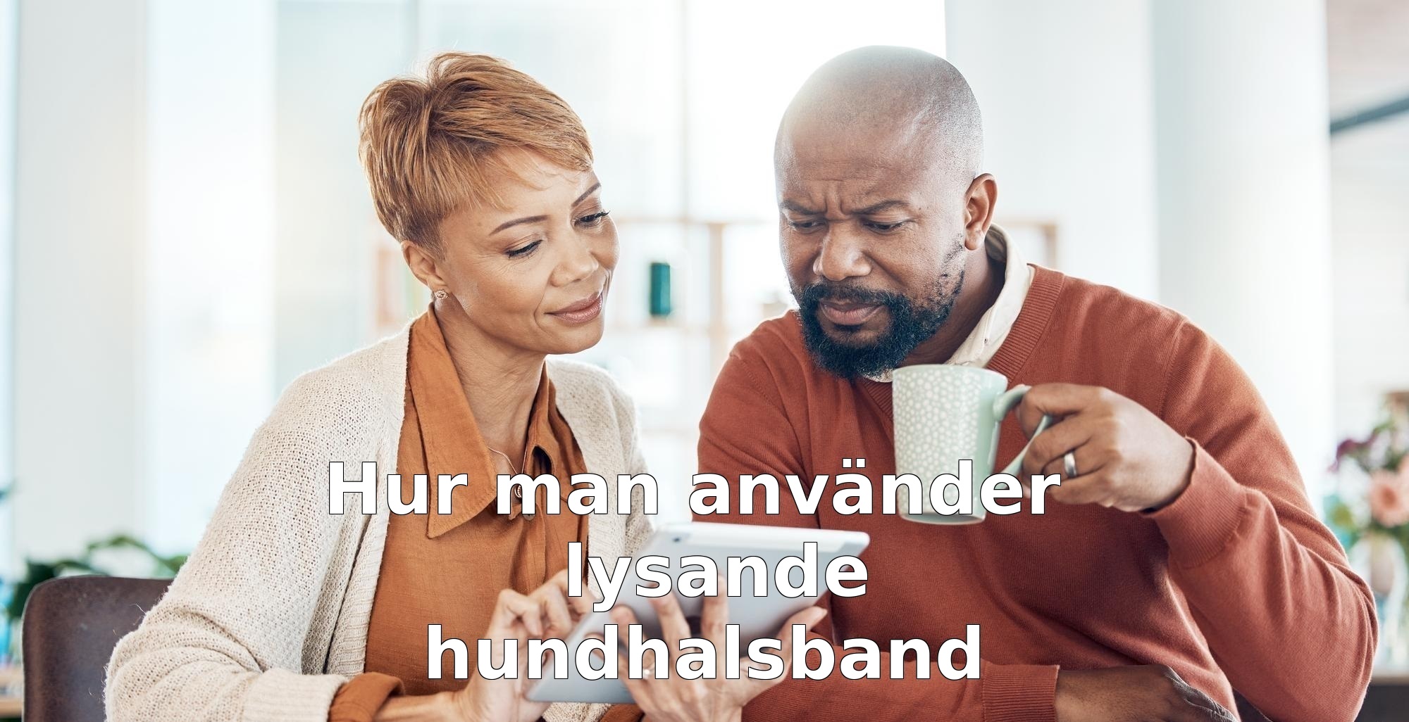 Hur man använder lysande hundhalsband