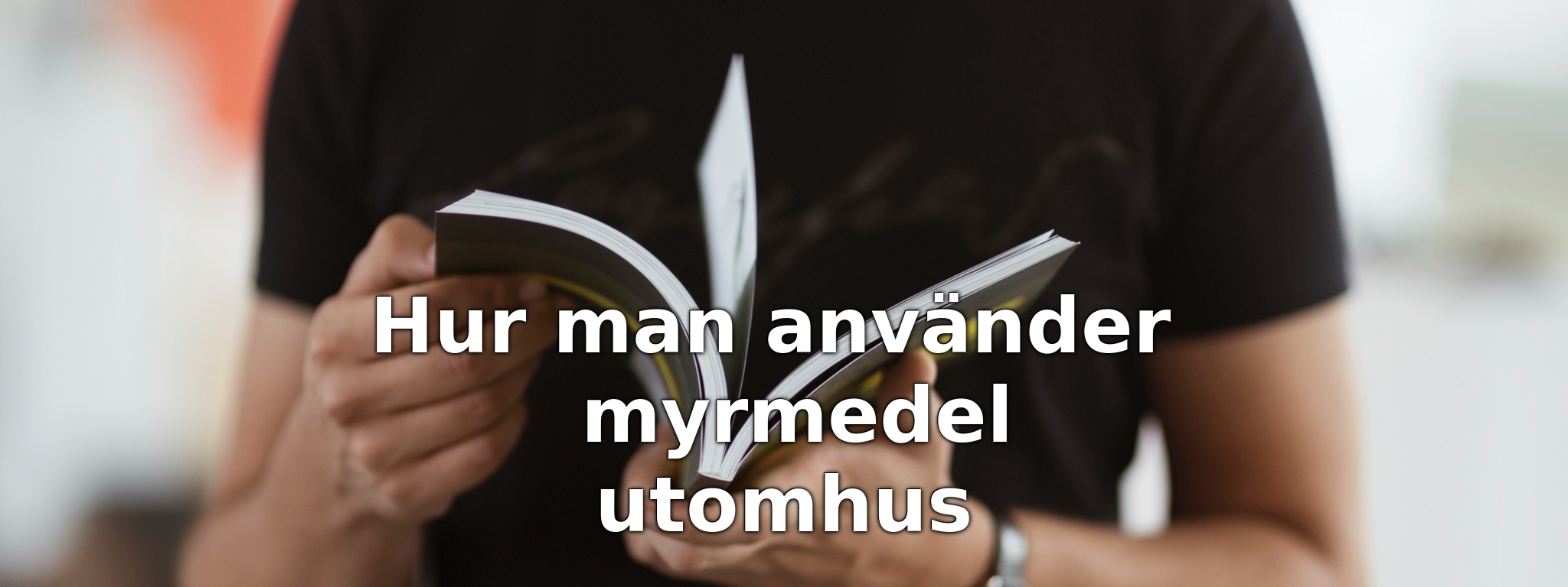 Hur man använder myrmedel utomhus
