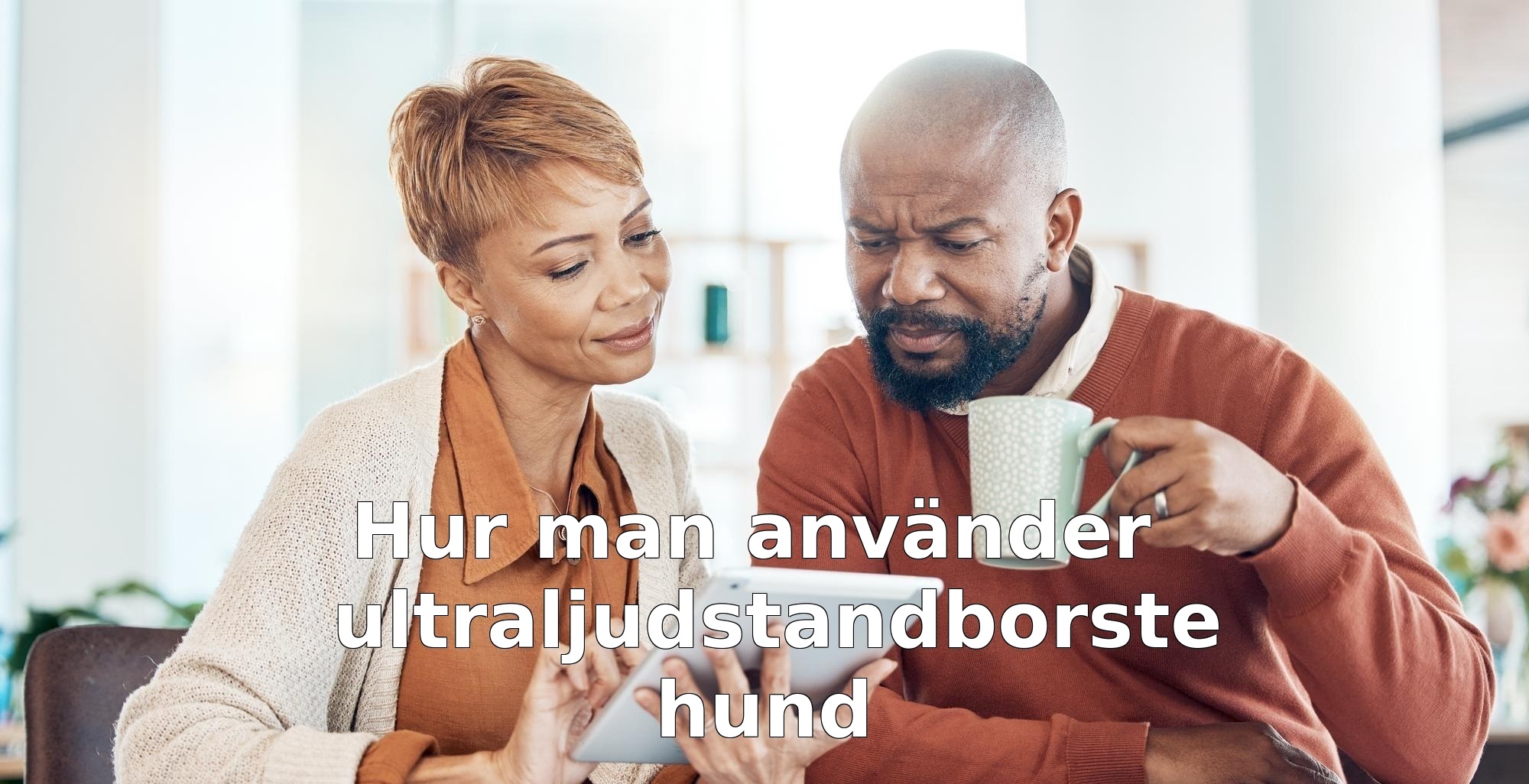 Hur man använder ultraljudstandborste hund