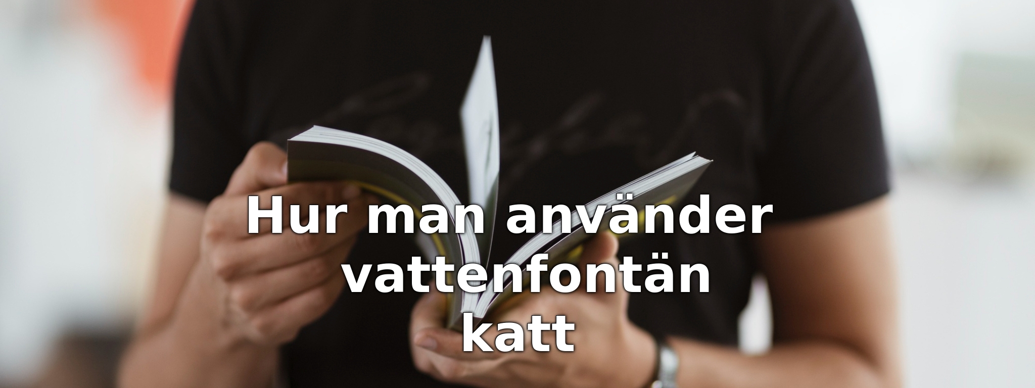 Hur man använder vattenfontän katt