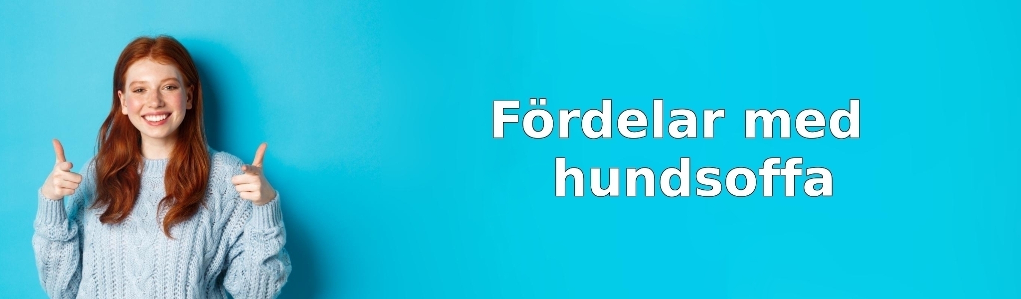 Fördelar med hundsoffa