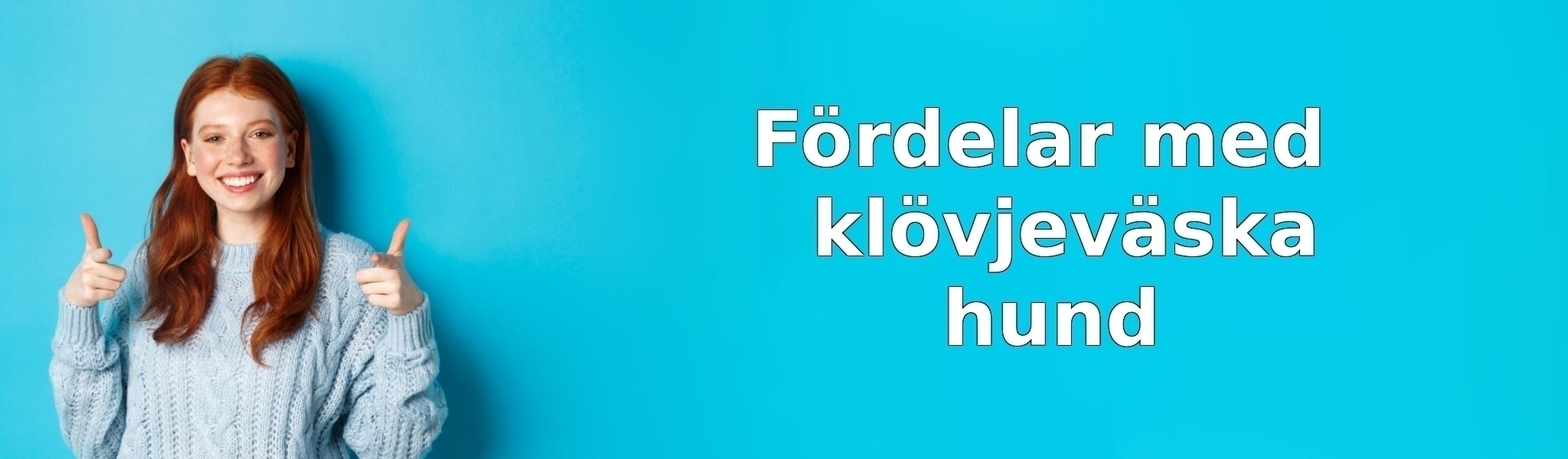 Fördelar med klövjeväska hund