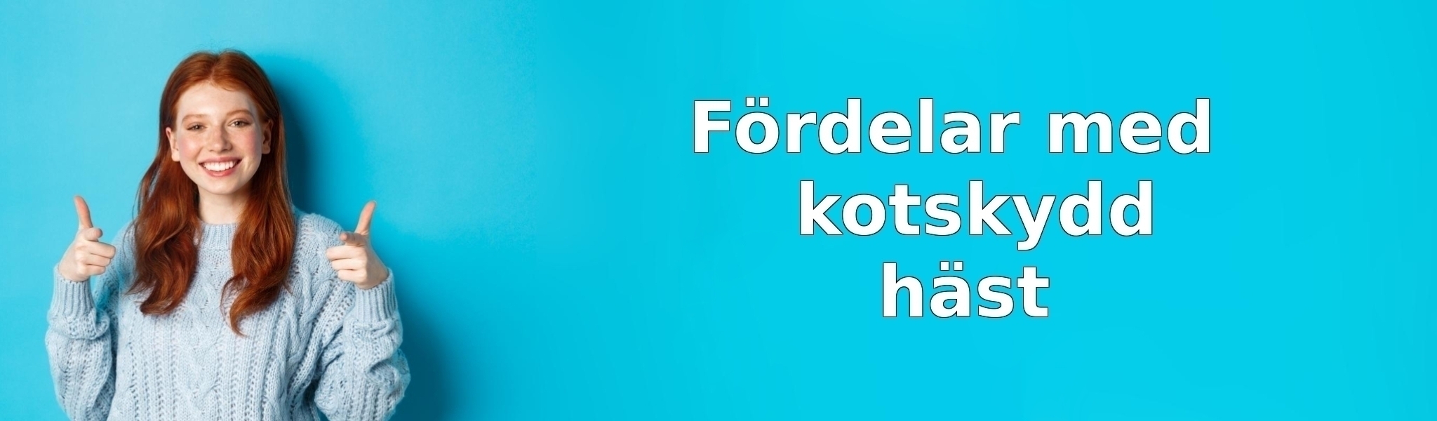 Fördelar med kotskydd häst