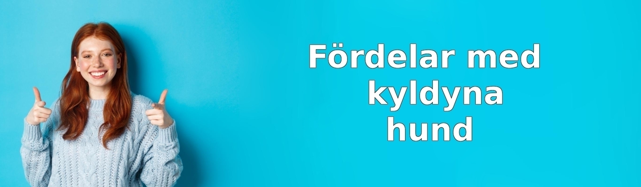 Fördelar med kyldyna hund