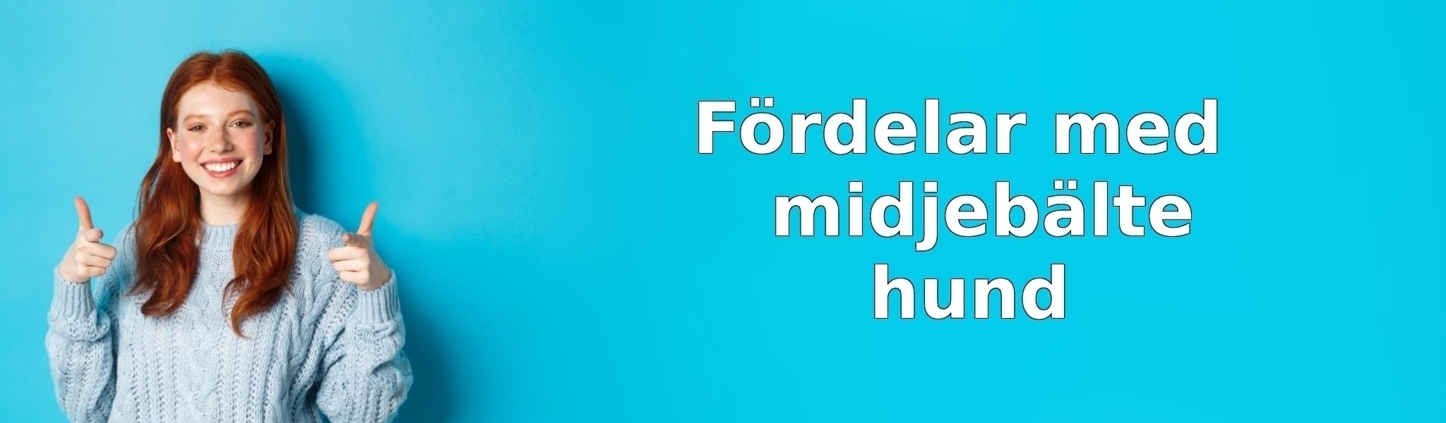 Fördelar med midjebälte hund