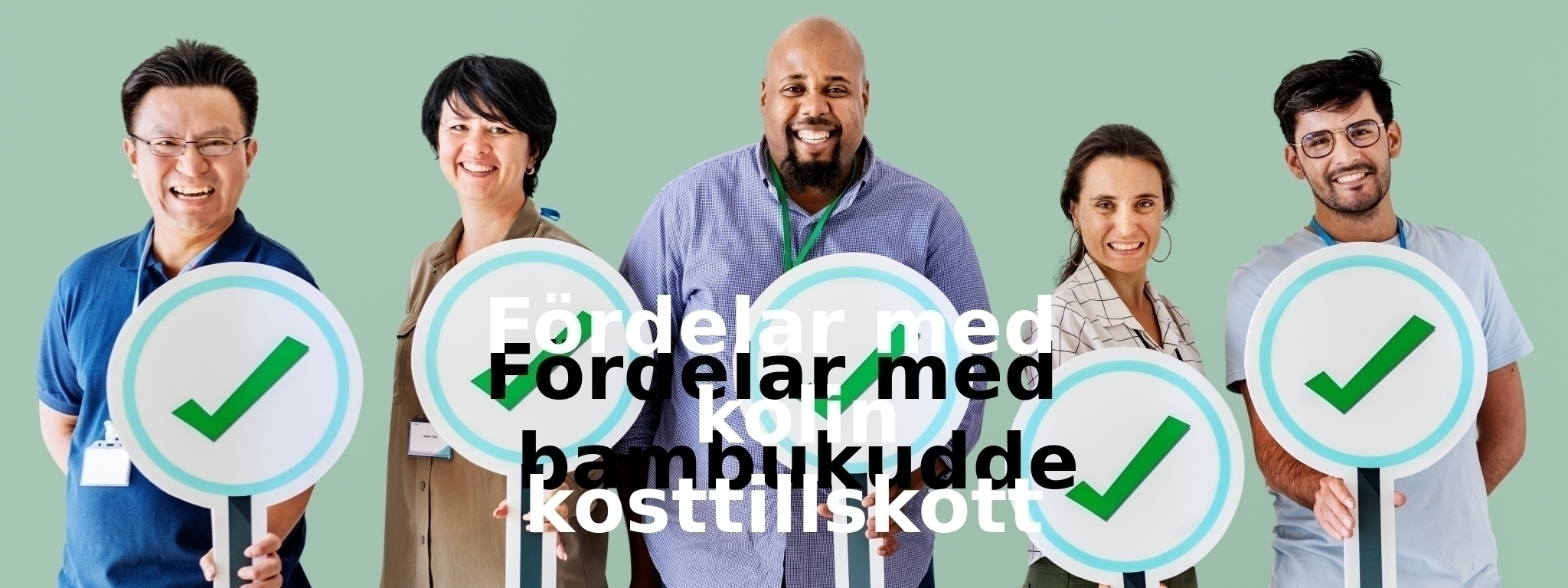 Fördelar med skivstångsset