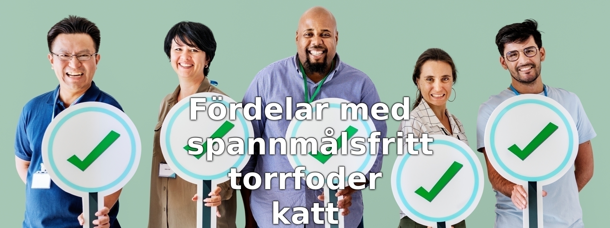 Fördelar med spannmålsfritt torrfoder katt